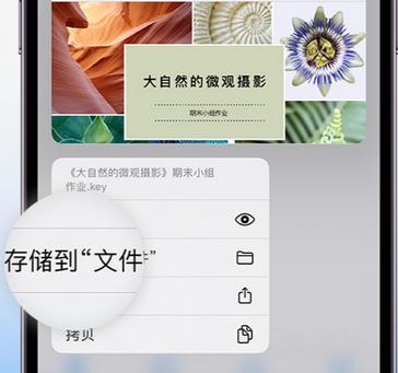 霞浦apple维修中心分享iPhone文件应用中存储和找到下载文件