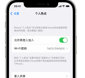 霞浦apple服务站点分享iPhone上个人热点丢失了怎么办 