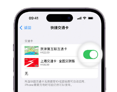 霞浦apple维修点分享iPhone上更换Apple Pay快捷交通卡手绘卡面 