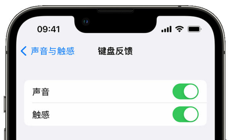 霞浦苹果手机维修分享iPhone 14触感键盘使用方法 