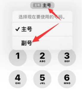 霞浦苹果14维修店分享iPhone 14 Pro Max使用副卡打电话的方法 