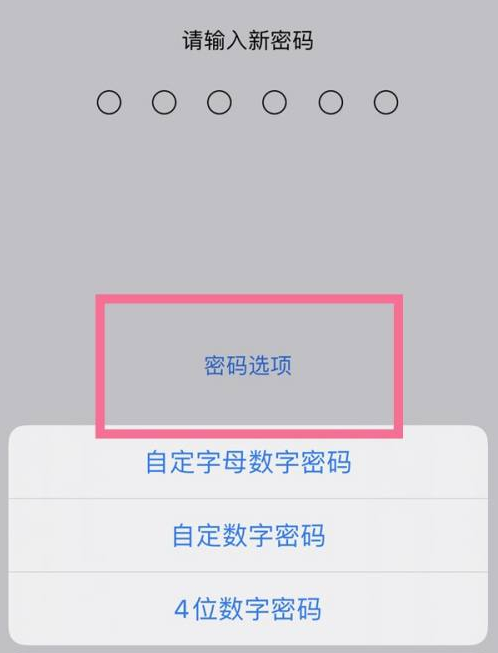 霞浦苹果14维修分享iPhone 14plus设置密码的方法 