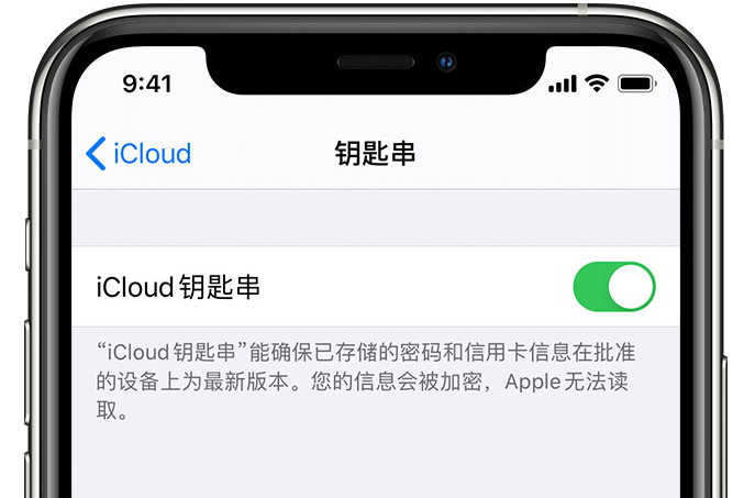 霞浦苹果手机维修分享在 iPhone 上开启 iCloud 钥匙串之后会储存哪些信息 