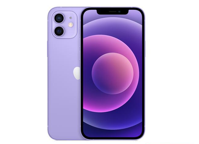 霞浦苹果手机维修分享现阶段要不要入手紫色版iPhone12 